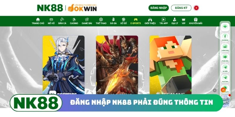 Đăng nhập NK88 phải đúng thông tin